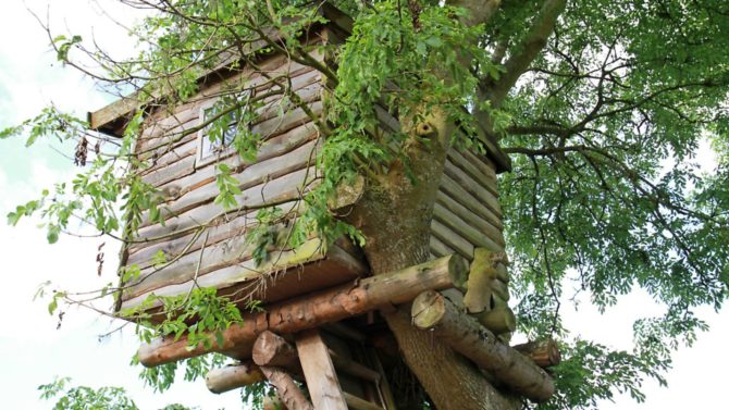 Building a tree house on a French property