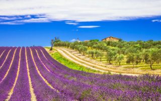 Where was the sunniest place in France in 2021?