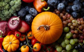 Photos: Harvest season in France