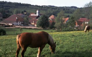Letting out your land