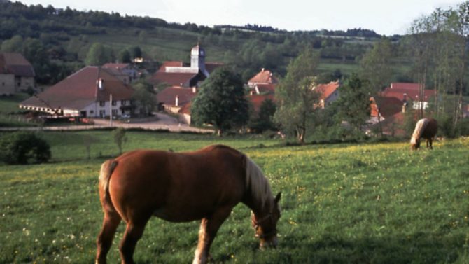 Letting out your land