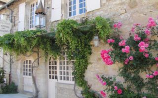 Understand the French micro-entreprise regime