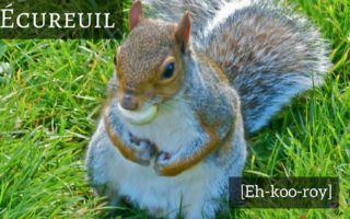 French words you are pronouncing incorrectly