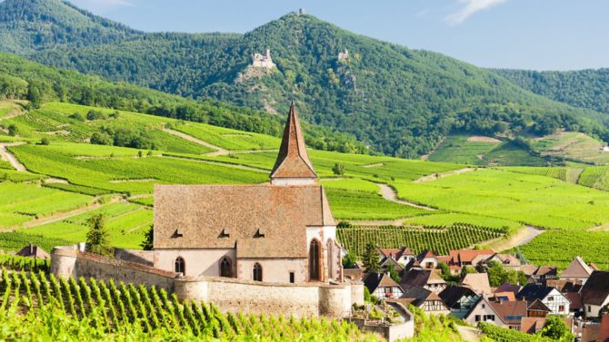 An insider’s guide to France’s wine regions