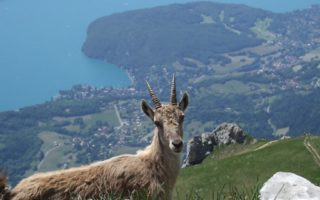 5 places to buy in France if you love the great outdoors