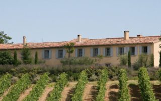 From city to santé: a vineyard in Languedoc