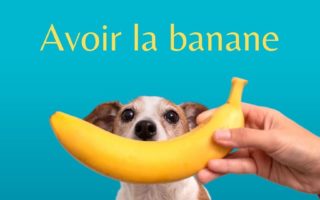 11 delicious French expressions with fruit and vegetables