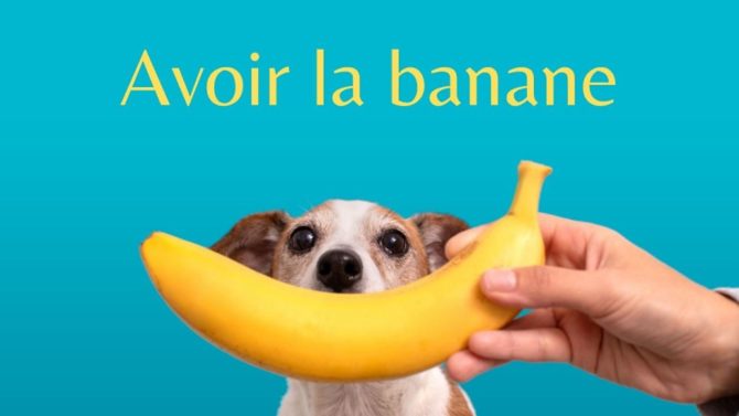 11 delicious French expressions with fruit and vegetables