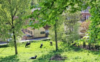 Janine Marsh: Anything can happen on a promenade in rural France