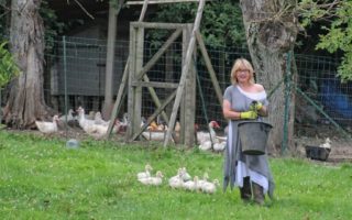 Janine Marsh: “I thought, why not have a few fluffy little ducklings running about the place”