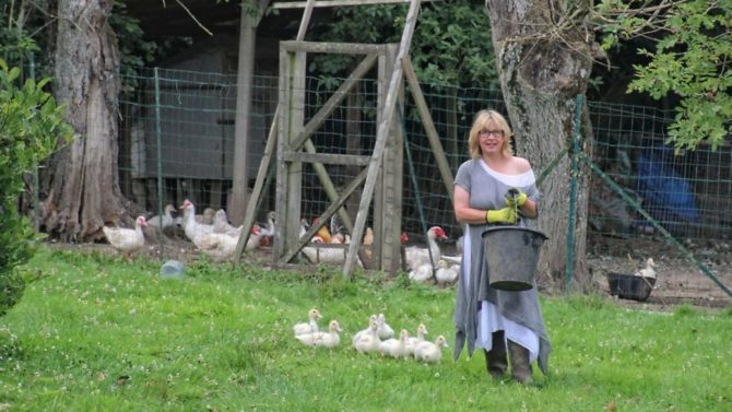 Janine Marsh: “I thought, why not have a few fluffy little ducklings running about the place”