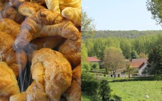 Janine Marsh: In rural France the shops come to you