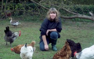 Janine Marsh: My life in rural France with 72 animals