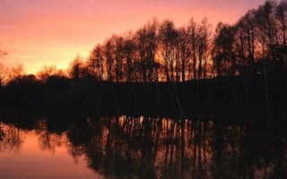 The perfect plaice: running a fishing business in France