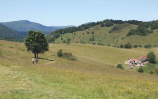 Walking the GR5 through the Vosges and Jura