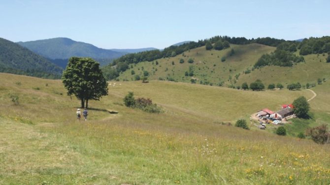 Walking the GR5 through the Vosges and Jura