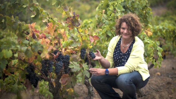 Katie Jones owns vineyard Domaine Jones in Languedoc-Roussillon