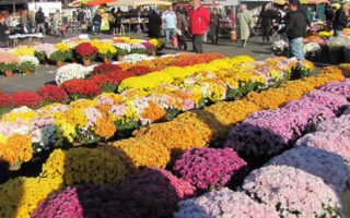 The French tradition of La Toussaint