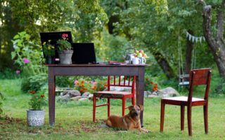 Fibre optic France: countryside has faster internet access than many cities