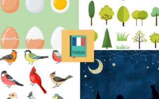 Do you know these 21 French proverbs and sayings?