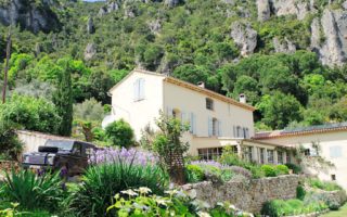 Expat life: running an olive farm in Var