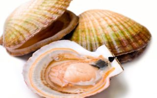 Recipe for pan-fried scallops