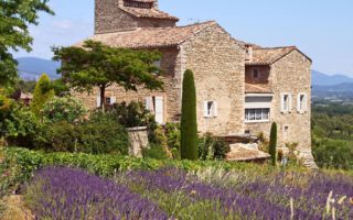 Common types of French property