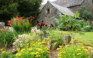 A year in my garden in Limousin
