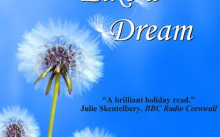 WIN! a copy of Nothing Like a Dream