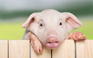 You won’t believe what happened to this estate agent in France