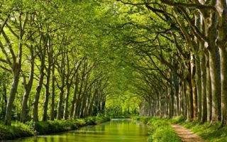 11 of the best canals to go boating in France