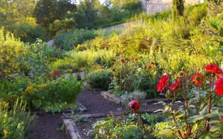 A beautiful French garden