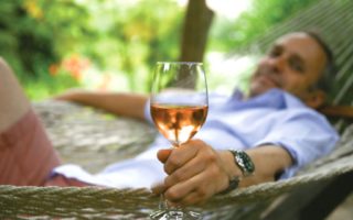 Expats making wine in Provence