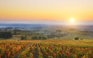 Where to go in France this autumn