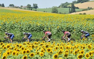 Quiz: How much do you know about the Tour de France?