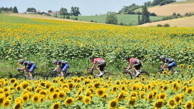 Quiz: How much do you know about the Tour de France?