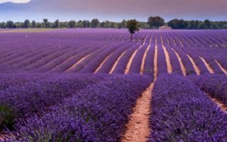 Explore 5 of France’s least populated departments