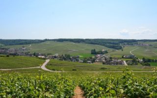 Road Trip: Exploring Champagne by car