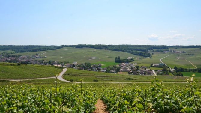 Road Trip: Exploring Champagne by car