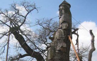 Discover the fascinating story behind this unique chapel in a tree in Normandy
