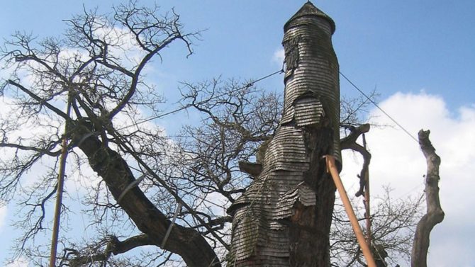 Discover the fascinating story behind this unique chapel in a tree in Normandy