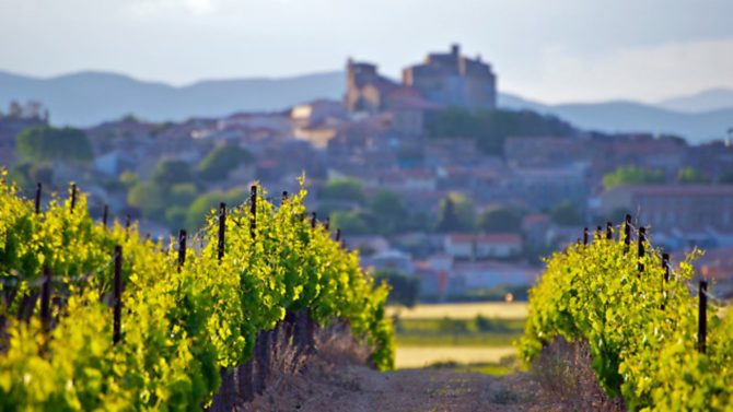 How to run a successful vineyard in France