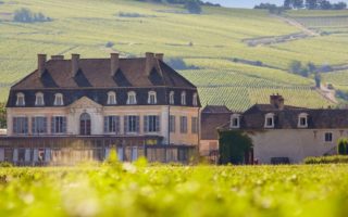 From grape to glass: A taste of the wine harvest at a prestigious Burgundy château