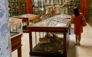 Discover Montpellier’s spine-tingling cabinet of curiosities