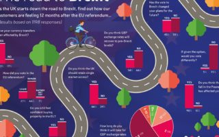 Currency & confidence: the impact of Brexit one year on