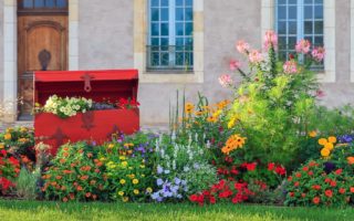 Can I take plants to France after Brexit?