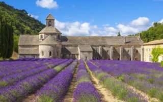 7 top things to do in Provence this summer