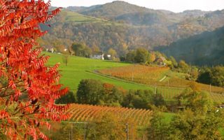 Hollywood to Aveyron: an internet-bought hamlet