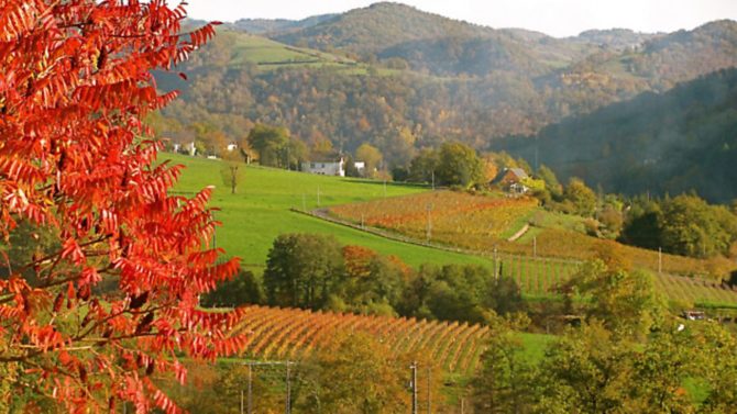 Hollywood to Aveyron: an internet-bought hamlet