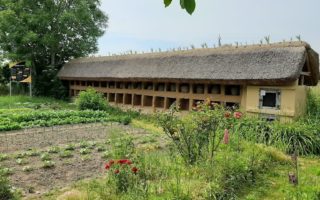 How France’s amazing murs à abeilles are helping the country’s bees